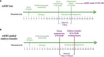 Precise hourly personalized embryo transfer significantly improves clinical outcomes in patients with repeated implantation failure